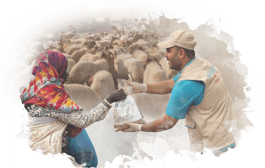 Qurban al-Shukr